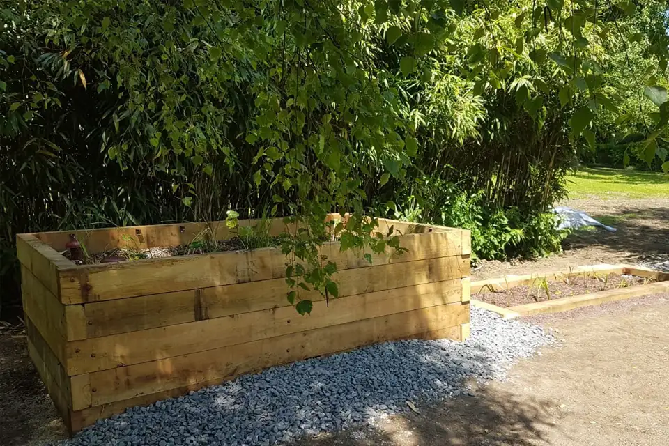 Phyto épuration Inphyto dans un bac en bois