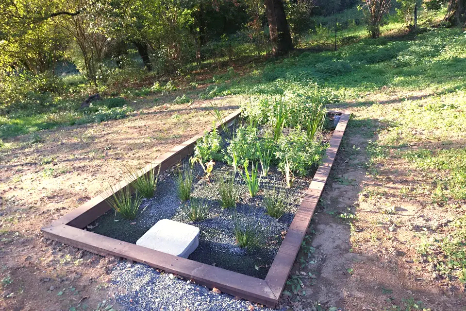 Phytoepuration-Inphyto-2-960x640