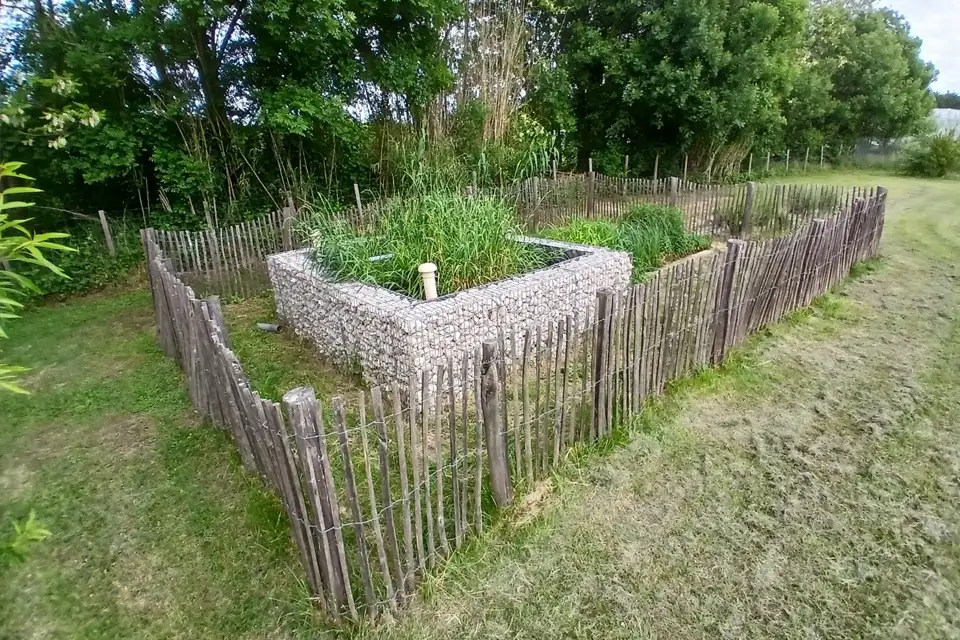 Phytoepuration-Inphyto-4-960x640