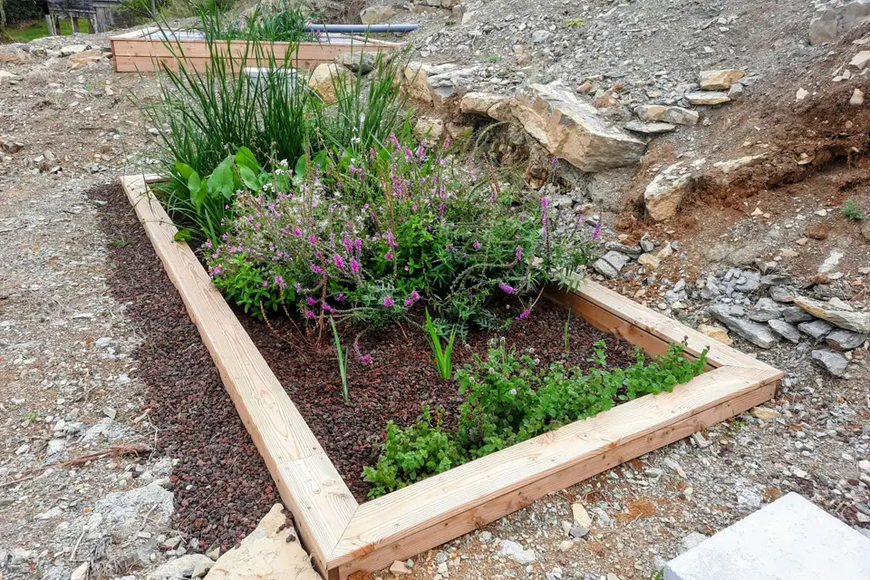 Phytoepuration-Inphyto-6-960x640