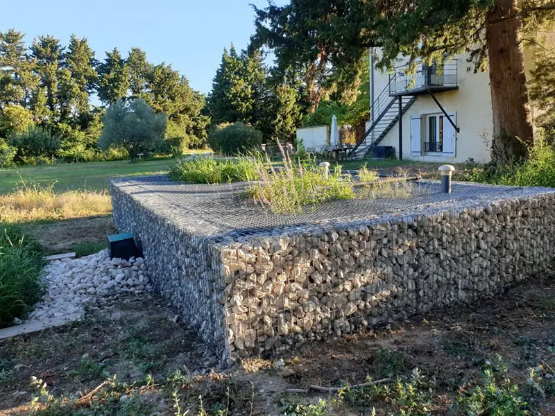 bassin-phytoepuration-sur-eleve-gabion-design.webp