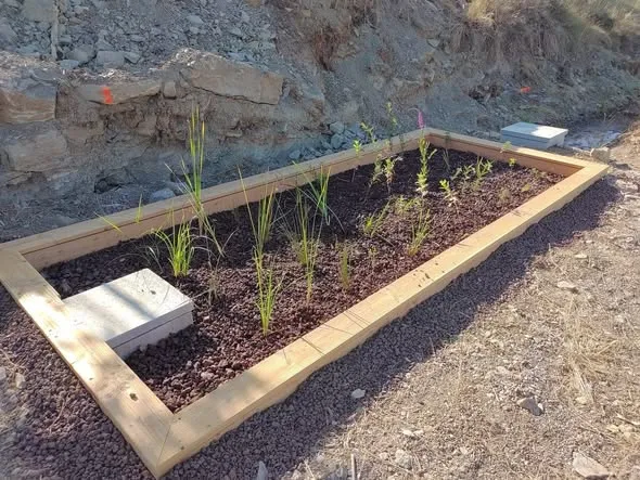 Installation de phytoépuration InphytO dans un jardin