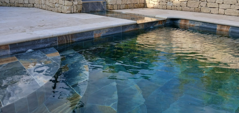 Piscine naturel en forme Libre