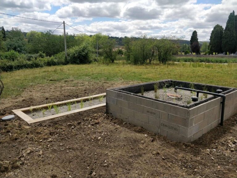 Phytoépuration avec finition bêton